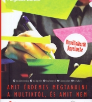 Hegedűs Zoltán: Amit érdemes megtanulni a multiktól, és amit nem - Kisvállakozók figyelmébe